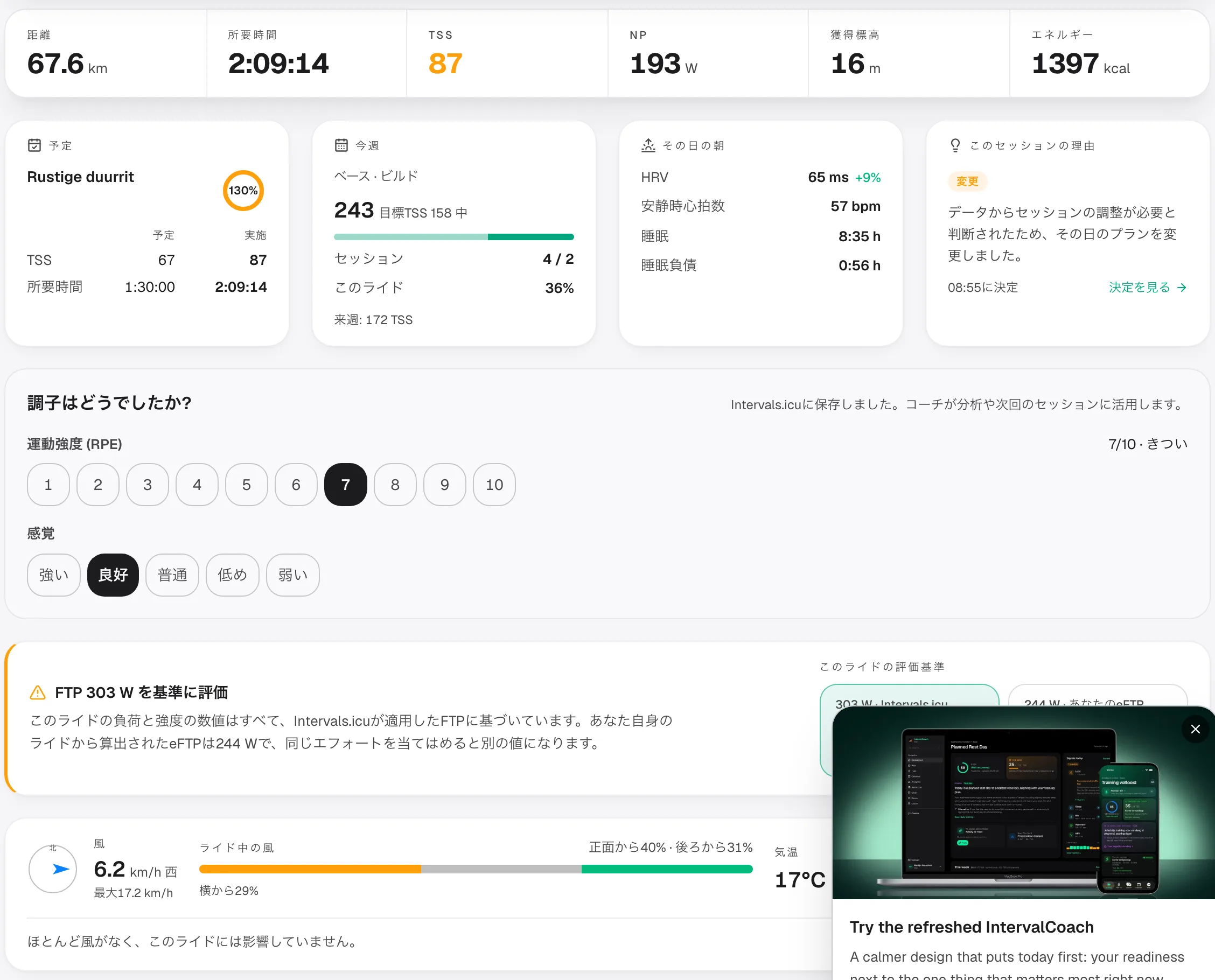 分析とインサイト